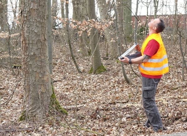 Mann mit Sicherheitsweste schaut auf Baum