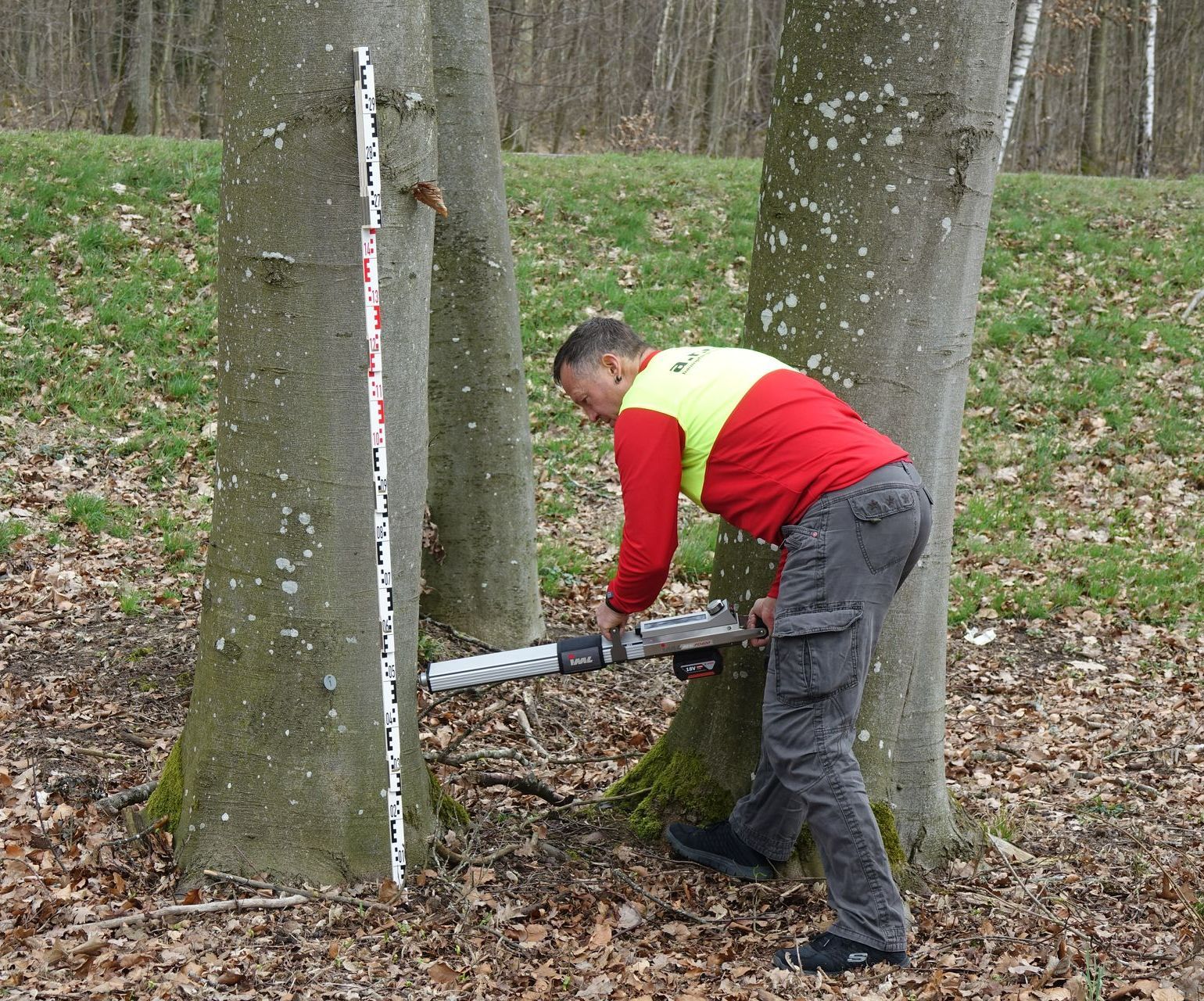 Mann in Waldlandschaft am Laptop