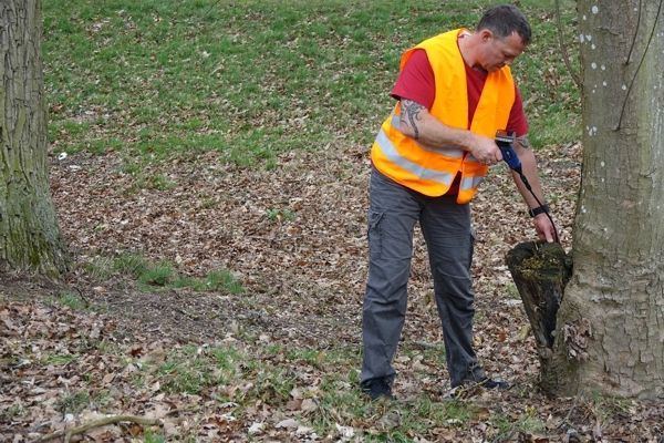 Mann mit Sicherheitsweste kontrolliert Baum