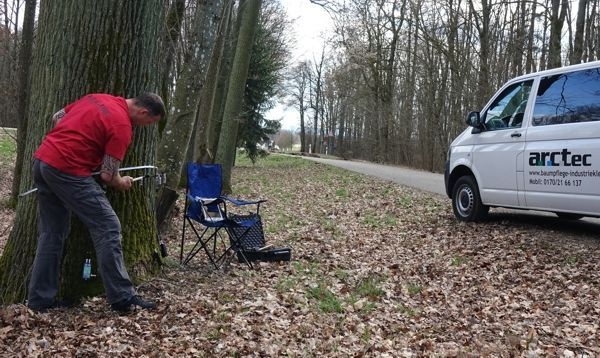 Mann bei der Vermessung eines Baumes