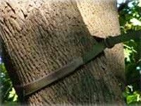 Baumstamm mit Handsäge