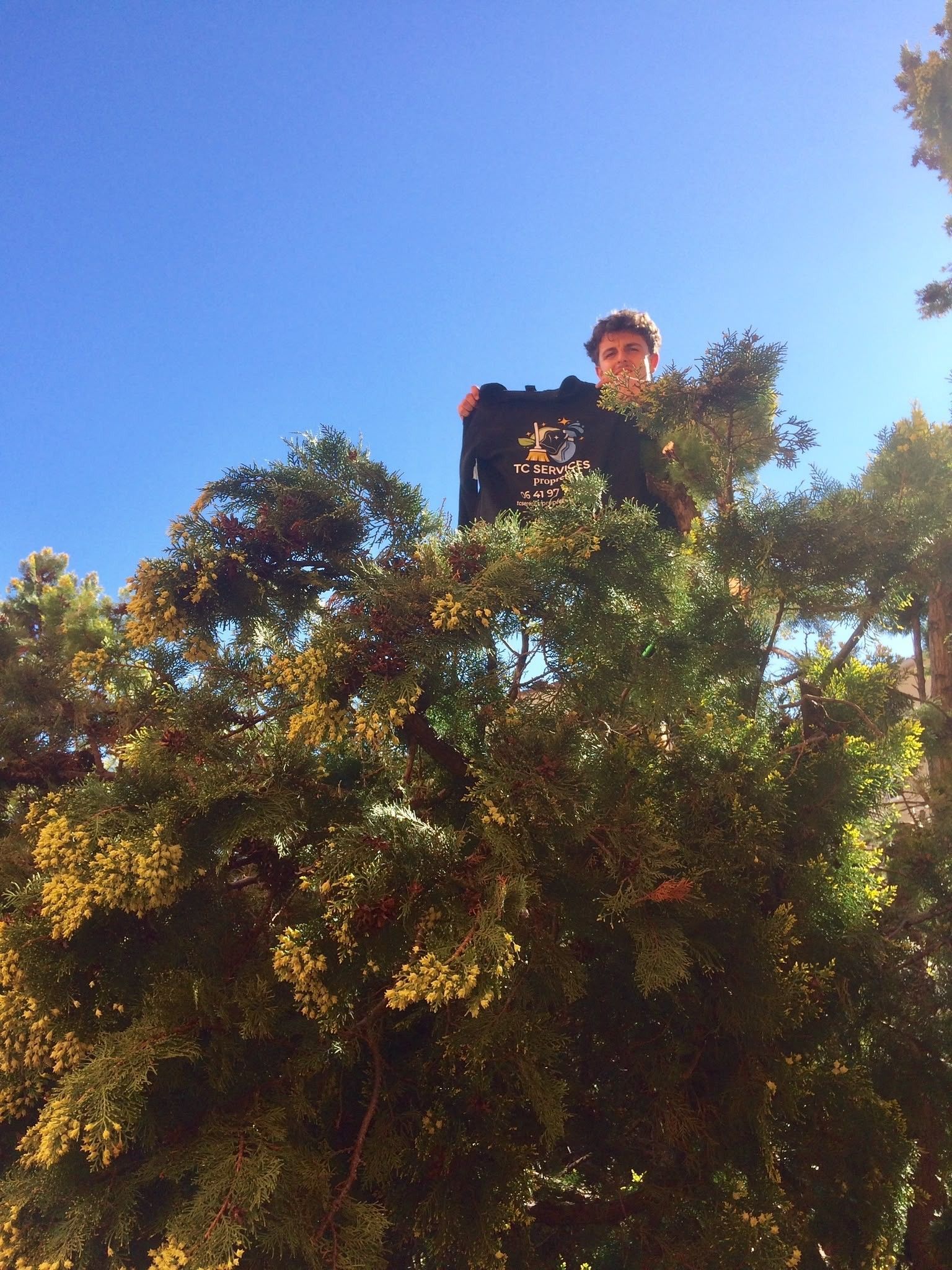 Personne se tenant derrière des arbres baignés de soleil, sur fond de ciel bleu éclatant