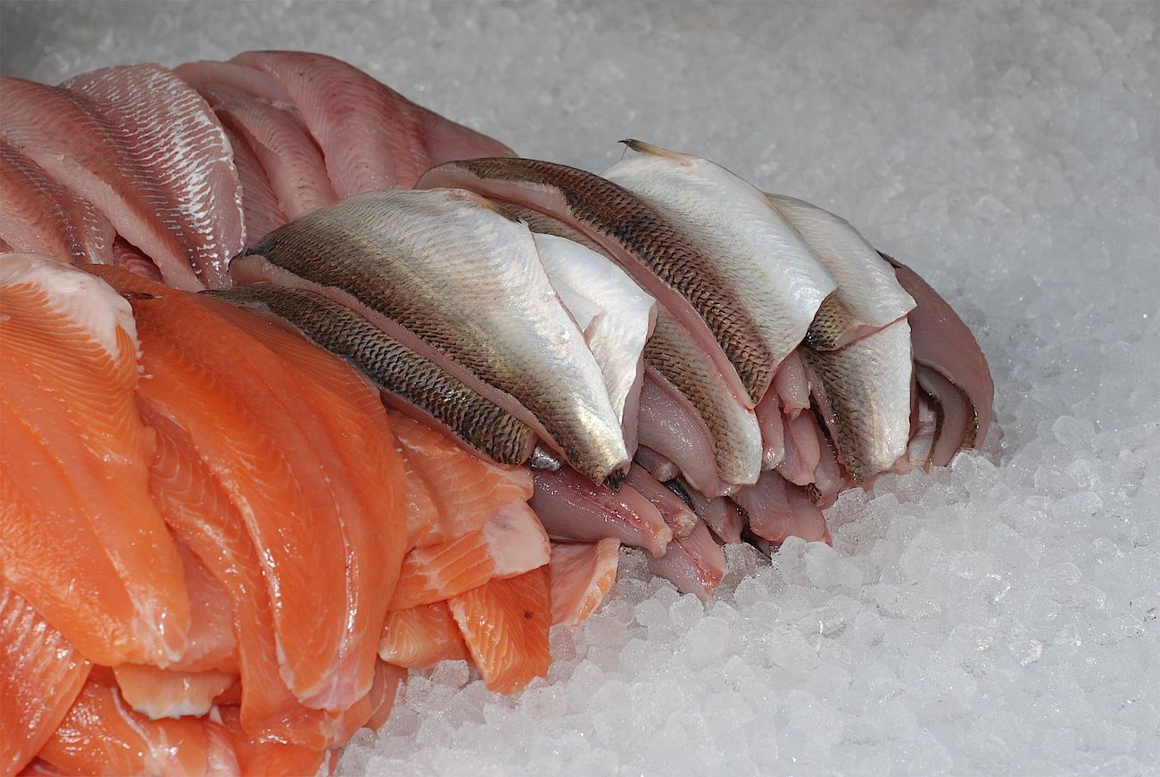 Frischfische, Meeresfrüchte, Räucherfisch | Inter-Fisch AG | Dozwil