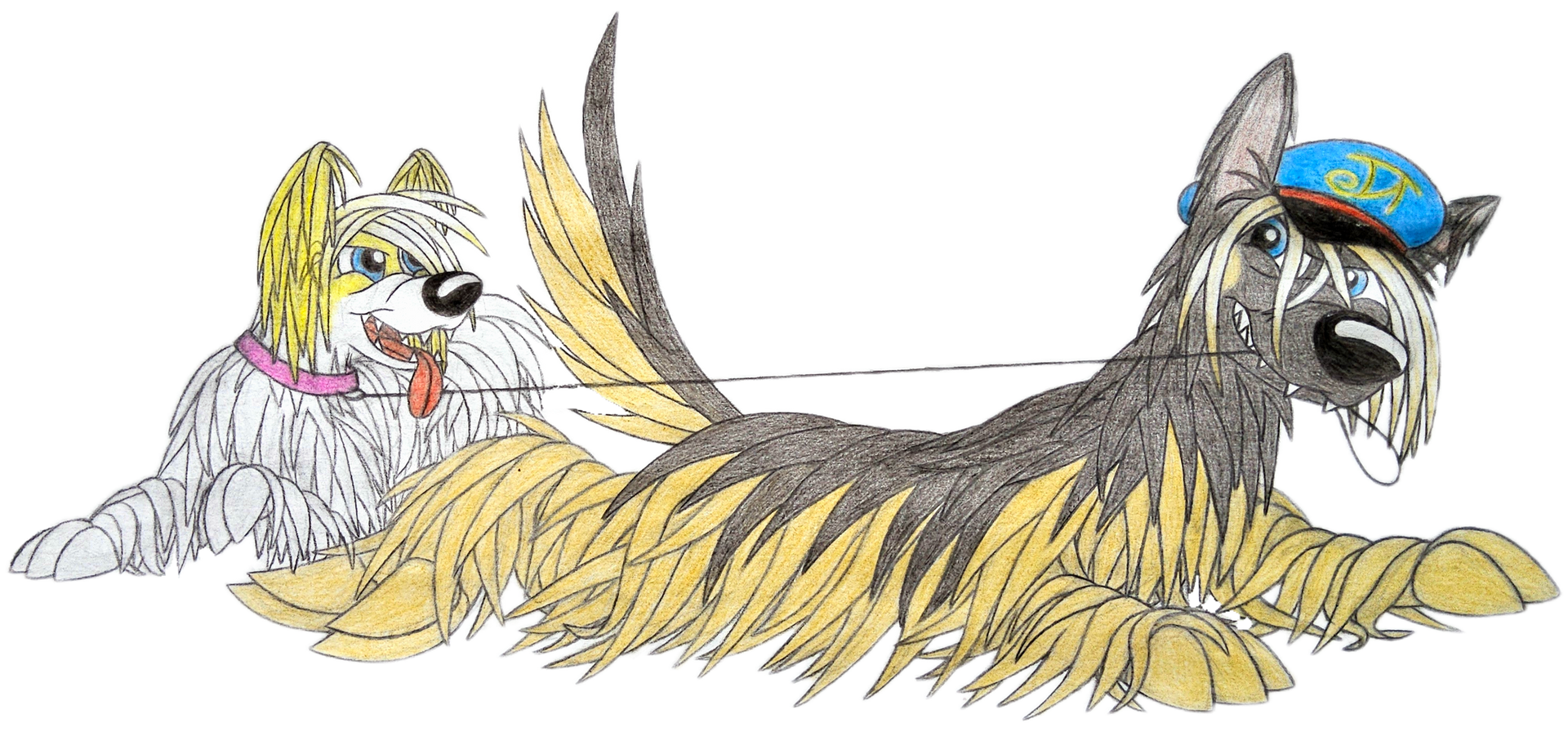 Limijchi Tristan Blauauge (mit Hannah)