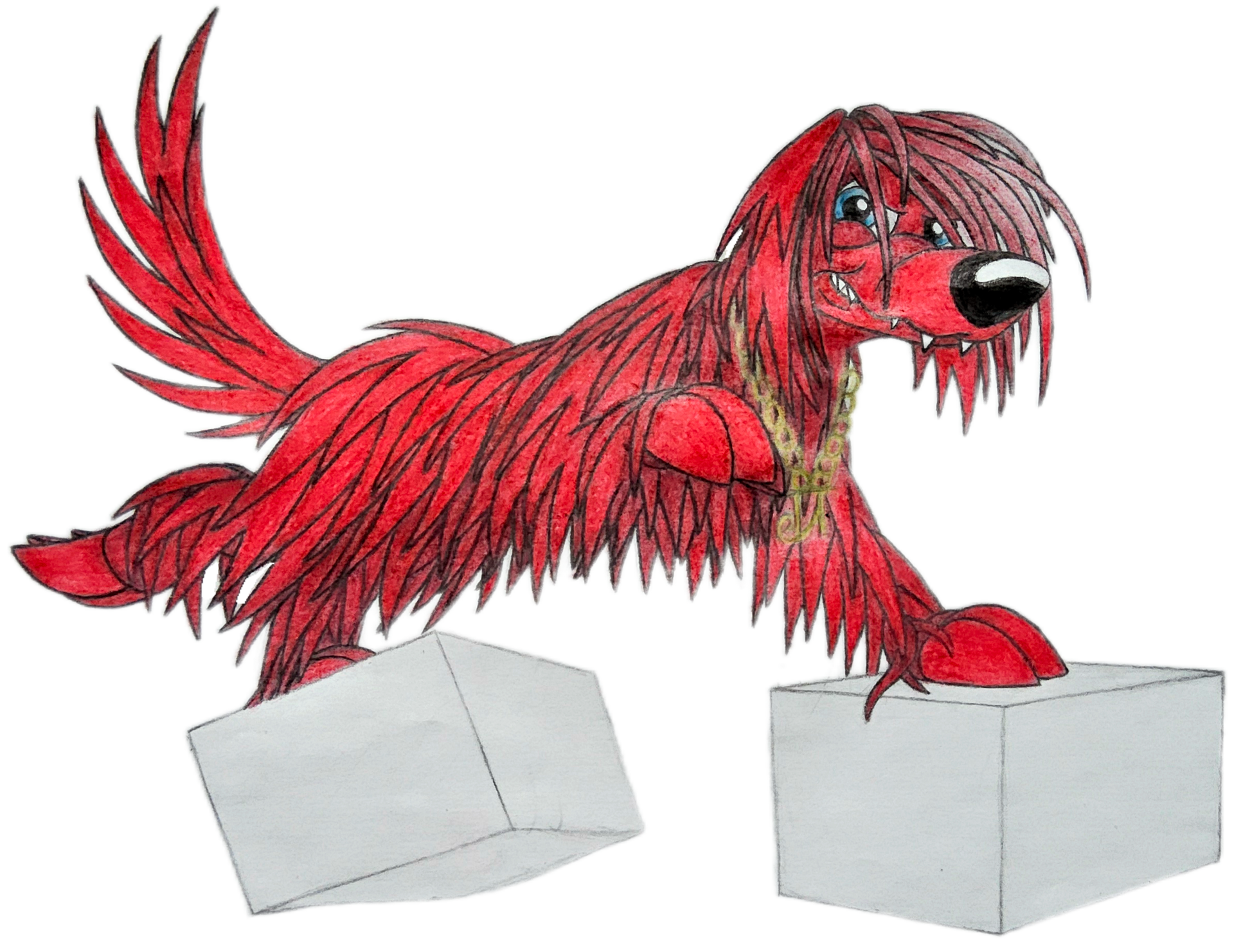 Limijchi Jannis Rotschweif