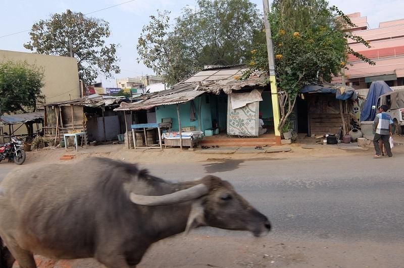 Indien
Patenschaften
Basel