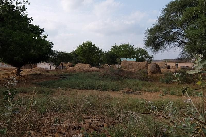 Indien
Patenschaften
Basel