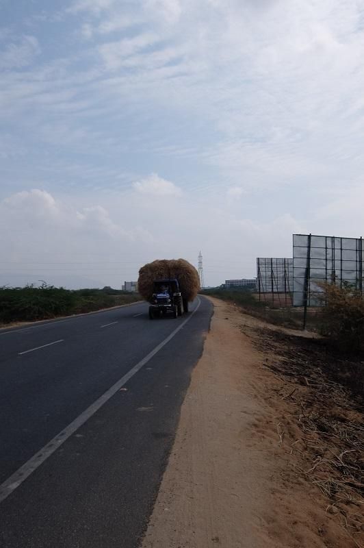 Indien
Patenschaften
Basel