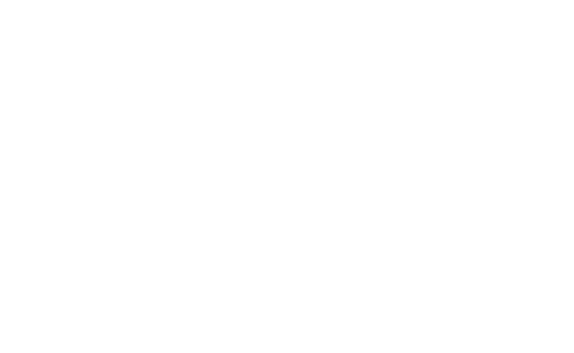 Logo TLO Internationale Spedition