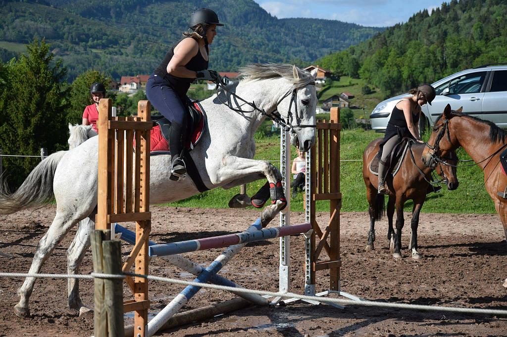 Saut d'obstacle équitation