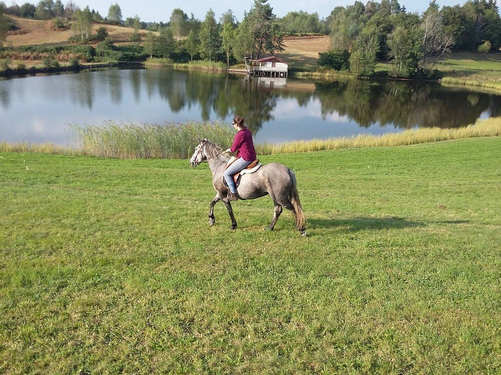 Balade équestre dans les plaines