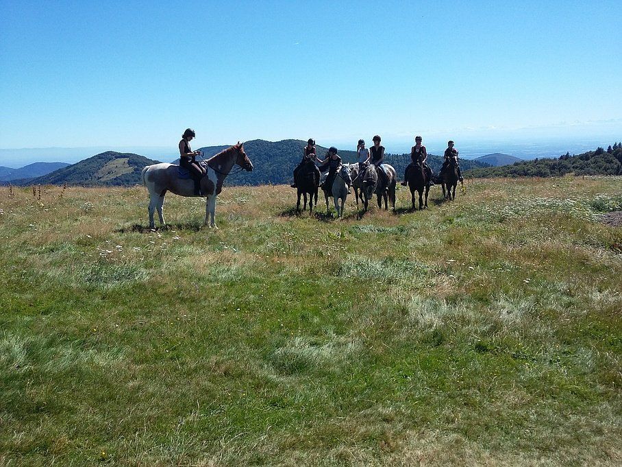 Randonnée à cheval dans les Hautes Vosges