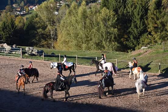 Stage d'équitation intensif