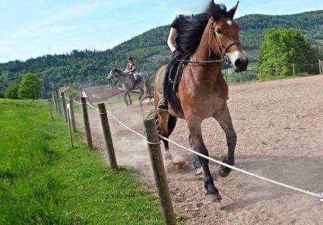 Stage d'équitation perfectionnement