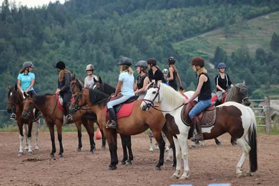 Cours d'équitation
