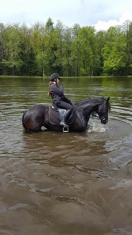 Randonnée équestre