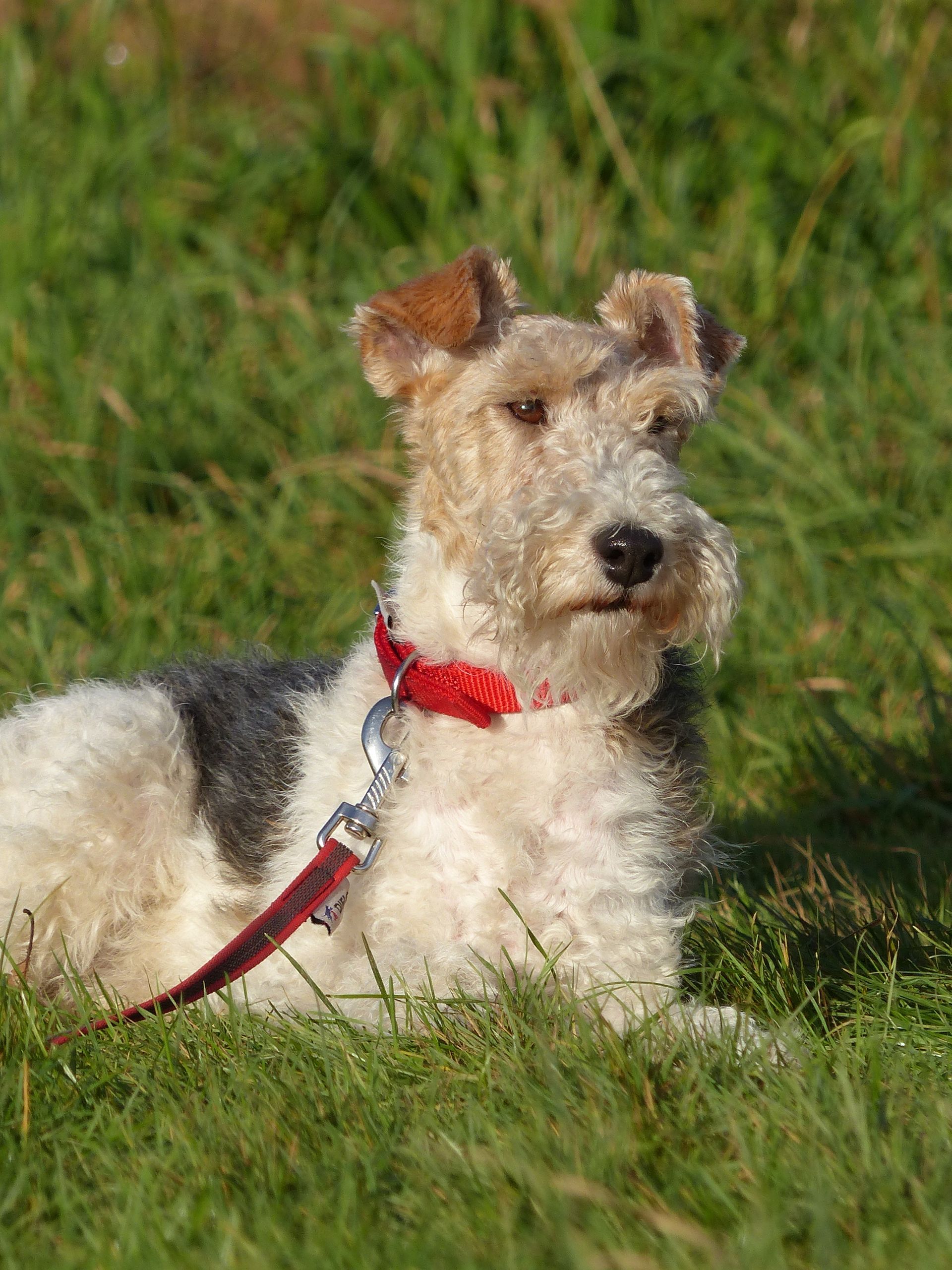 Balade éducative du mois 