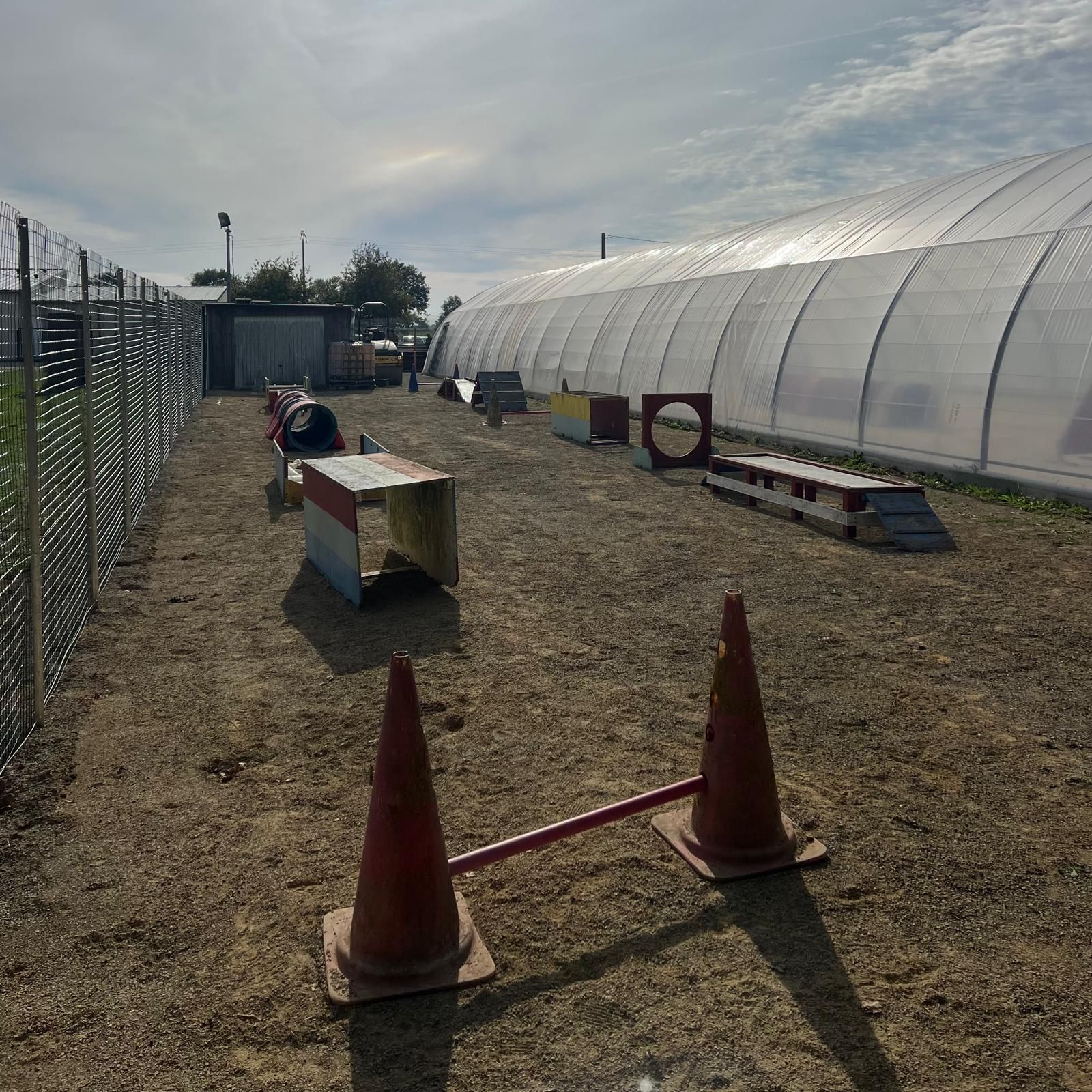 Parcours d'agilité canine : tunnel, sauts et cônes installés en extérieur à proximité d'une grande serre.