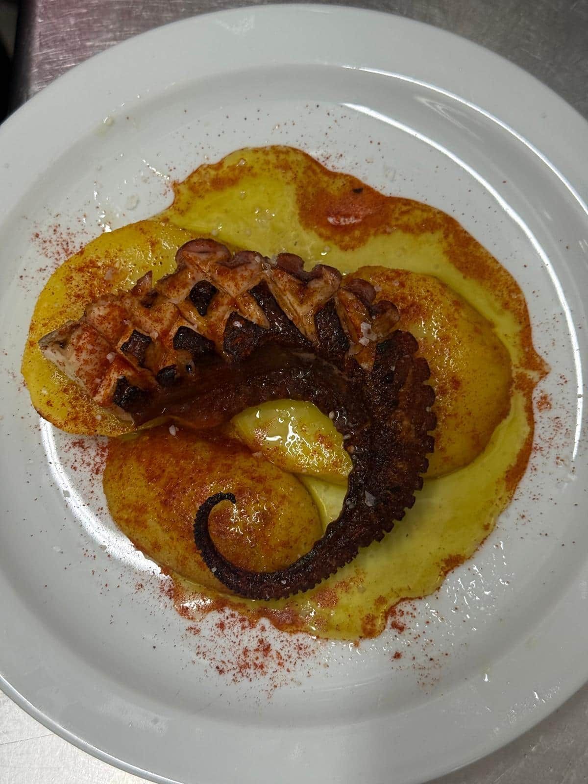Tentáculo de pulpo a la parrilla sobre patatas doradas, espolvoreado con pimentón, servido en plato blanco.