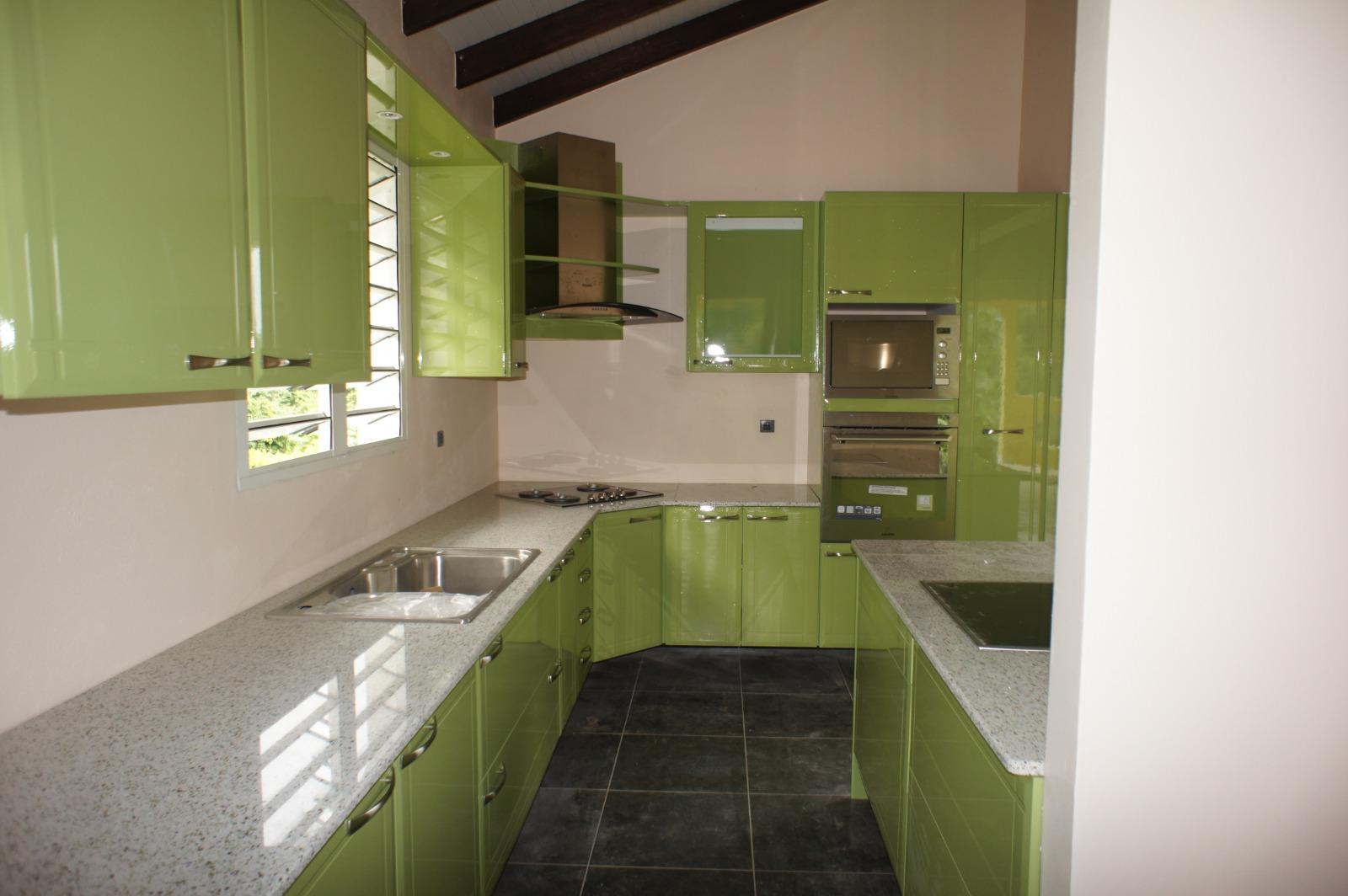 Meubles de cuisine vert