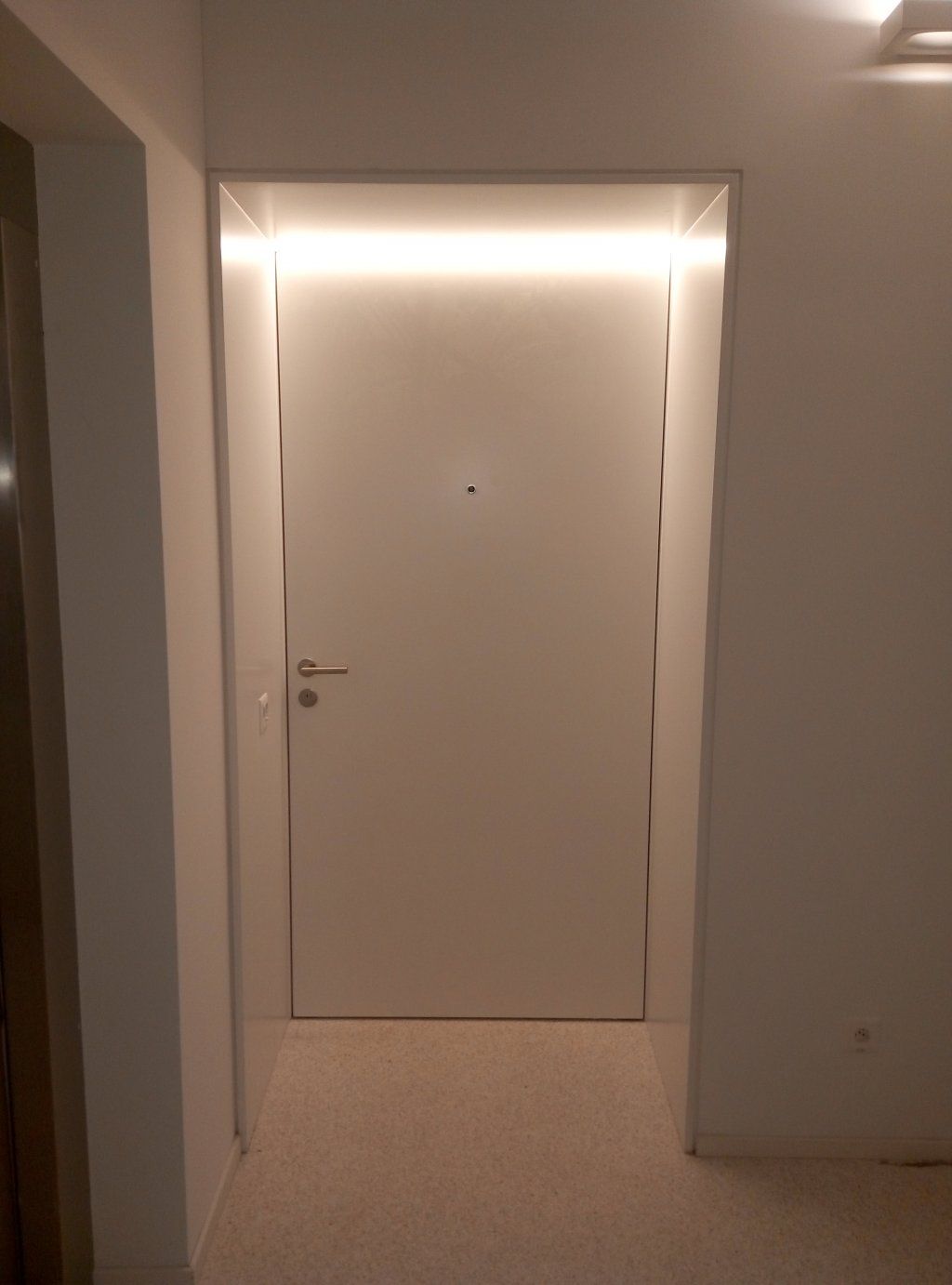 Porta d'entrata EI30 antifuoco anta a filo telaio con luce led - pannelli perimetrali