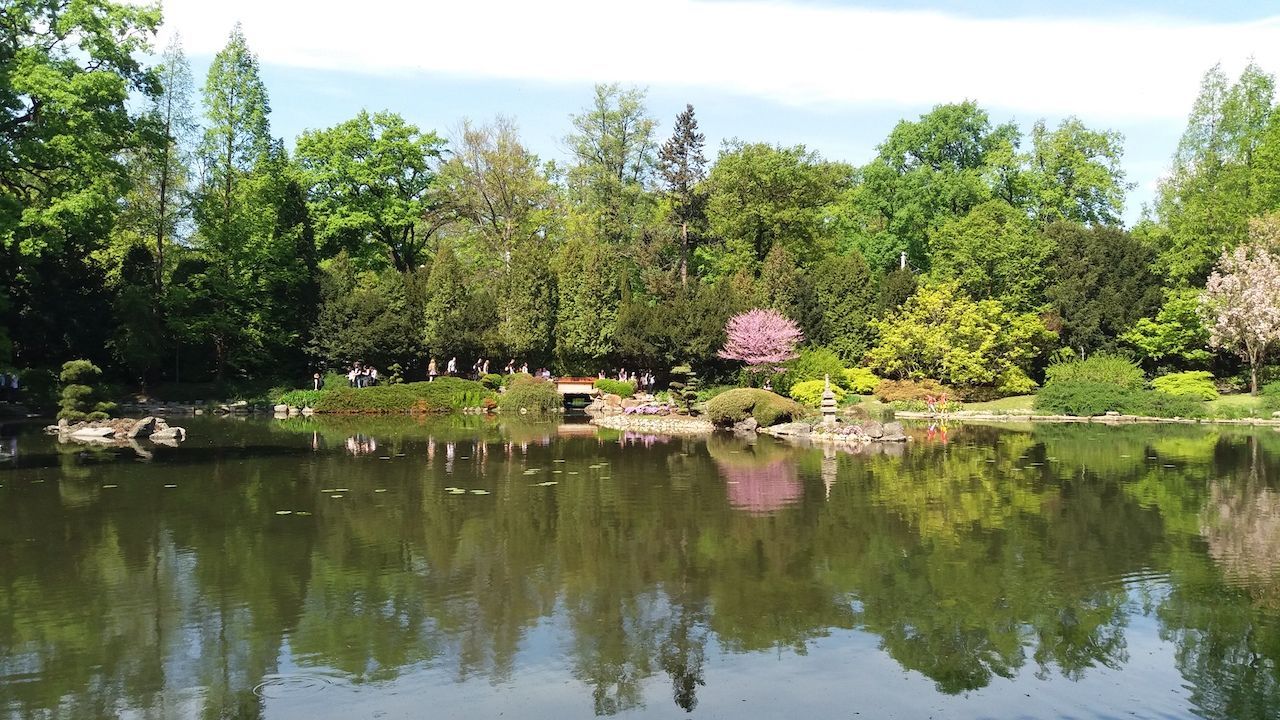 Japanese Garden Wroclaw Poland
