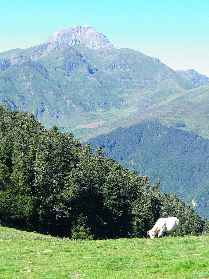emplacements de location pour caravanes, mobil-homes Hautes-Pyrénées