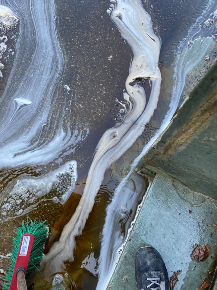 Une brosse à récurer verte repose sur le rebord d'une dalle de béton, à côté d'une mousse blanche tourbillonnante.