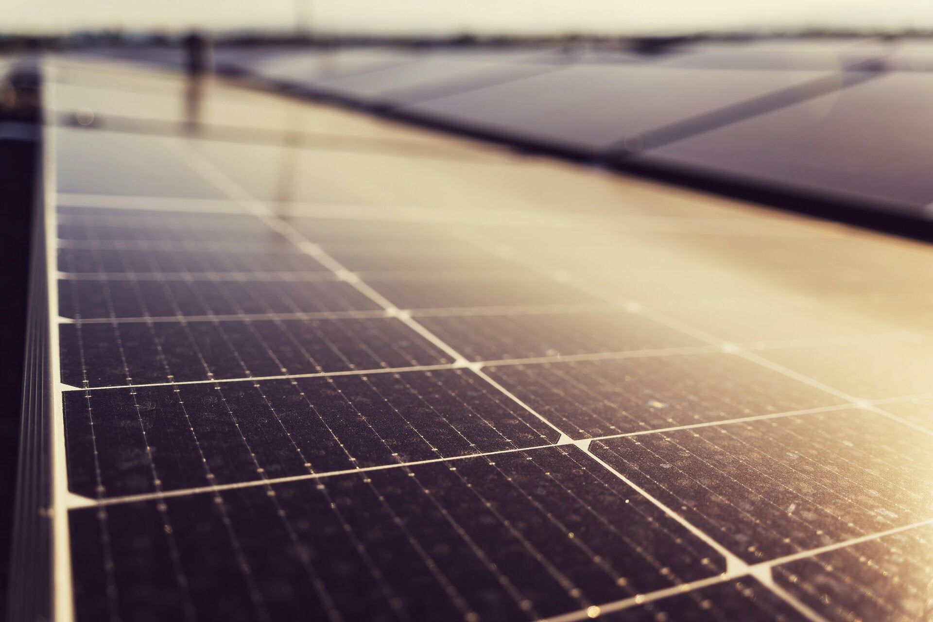 Gros plan sur des panneaux solaires rectangulaires sombres, disposés en rangées sous la chaude lumière du soleil.