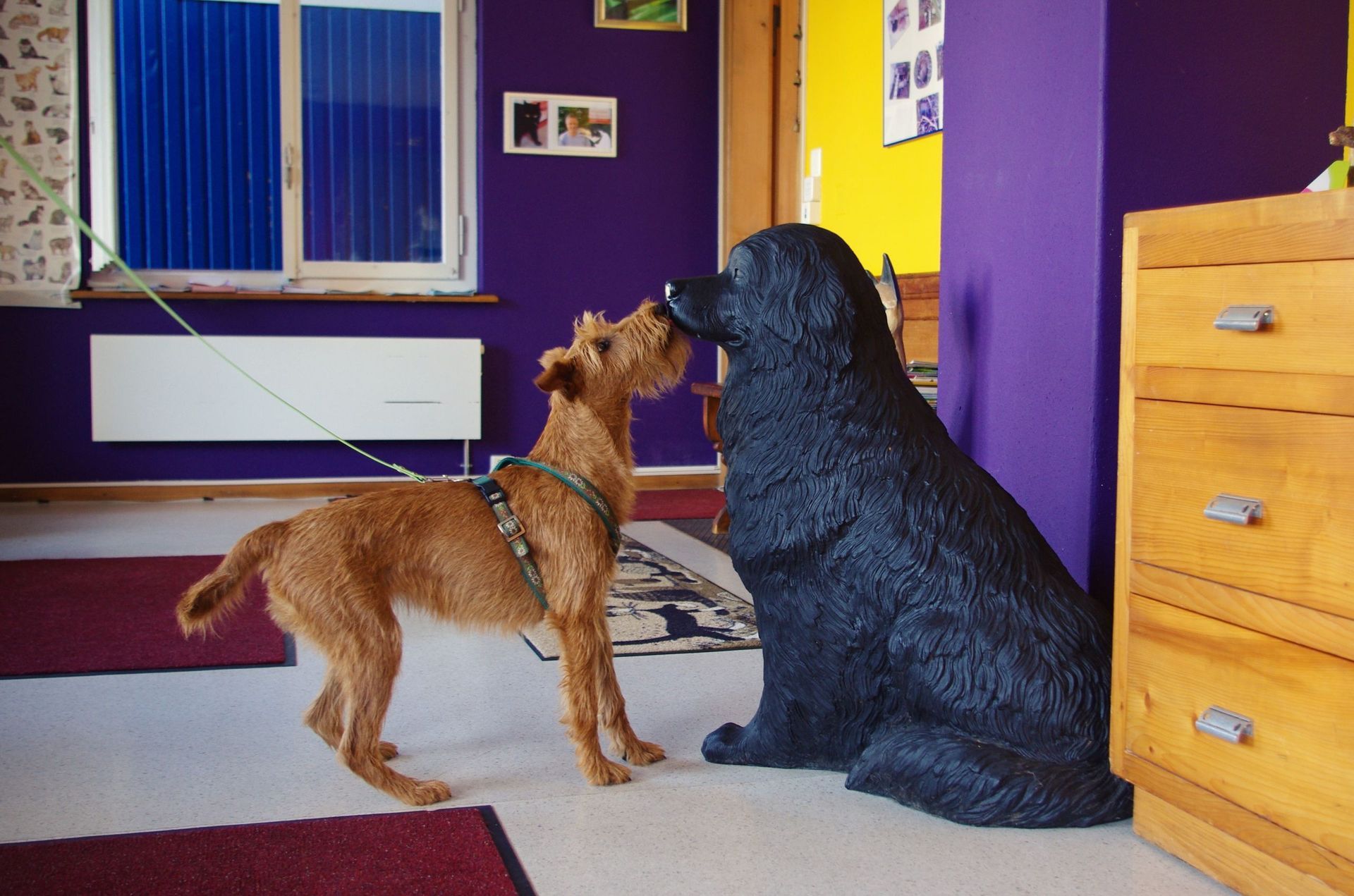 Empfang - Tierarztpraxis rundumXund