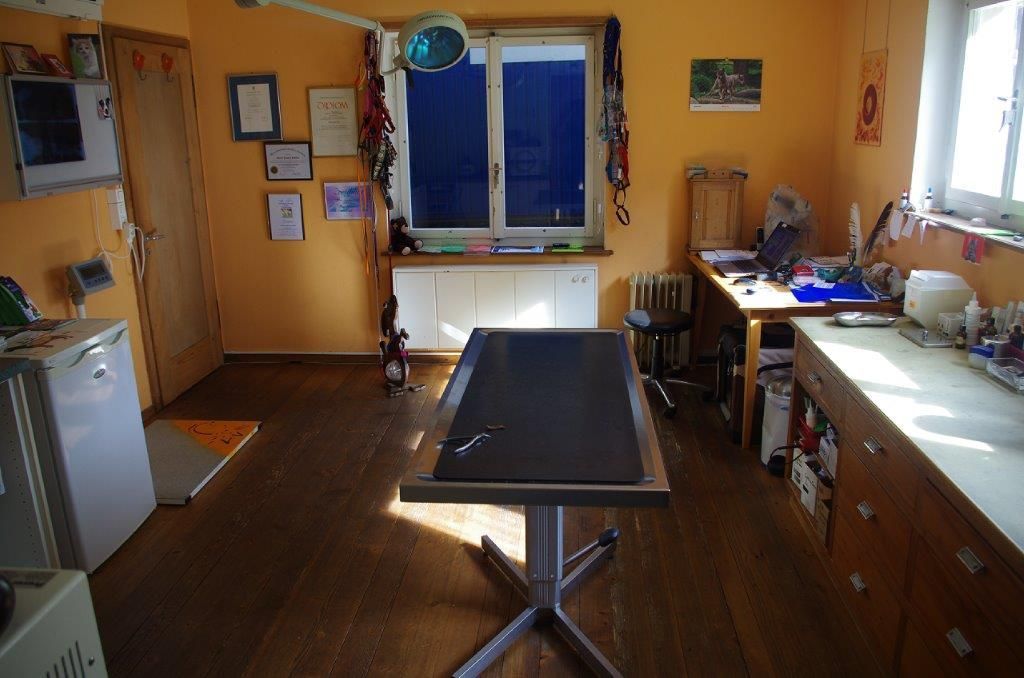 Praxis - Tierarztpraxis rundumXund