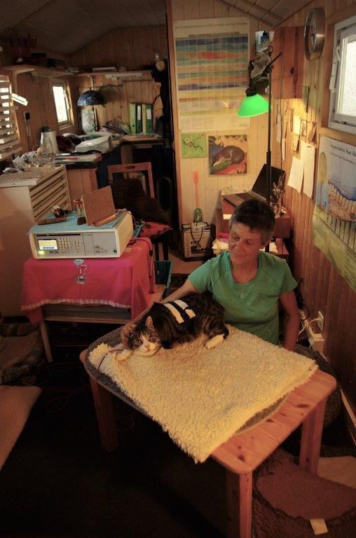 Tierarztpraxis rundumXund |Altendorf