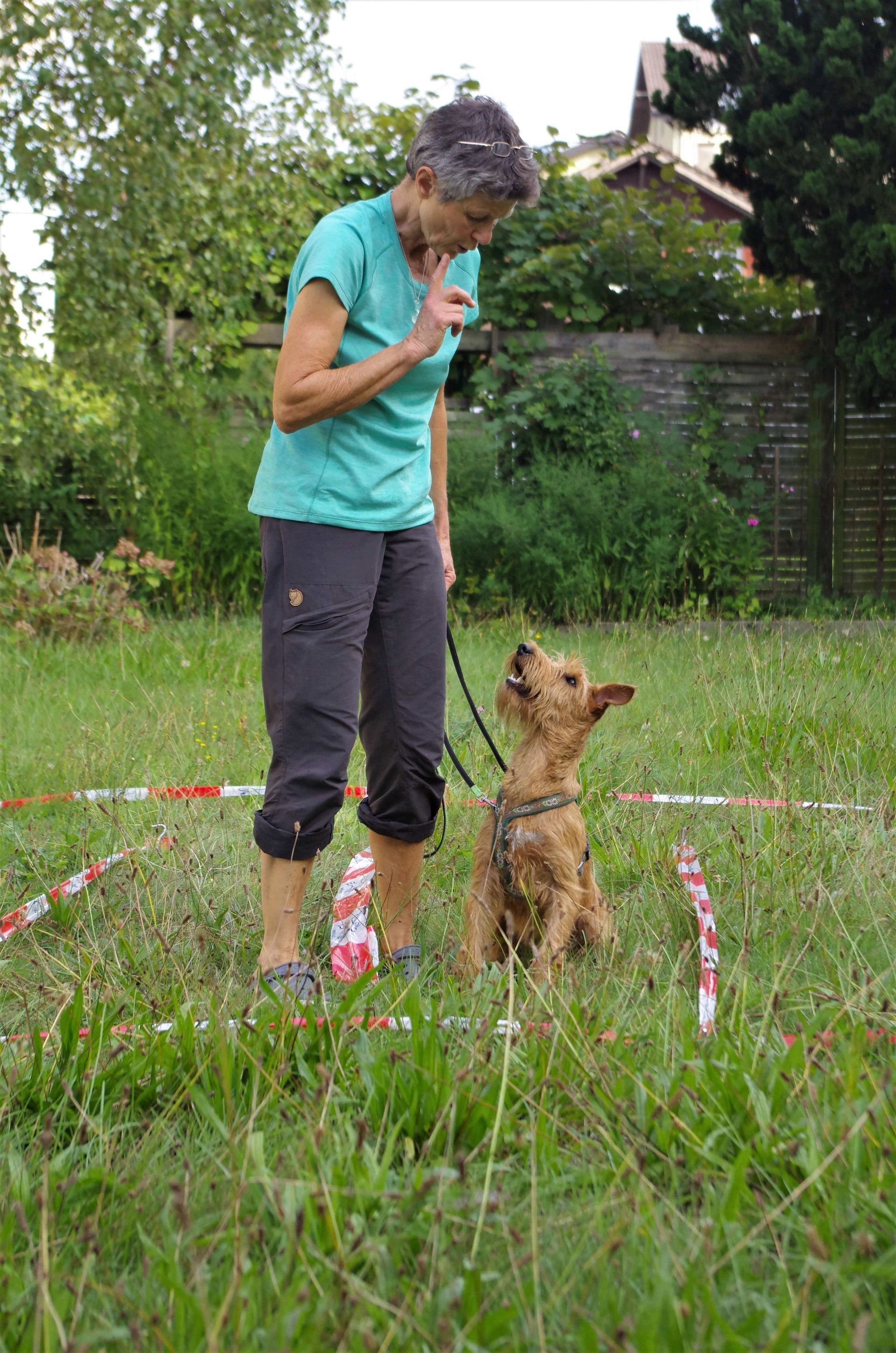 Parcour - Tierarztpraxis rundumXund