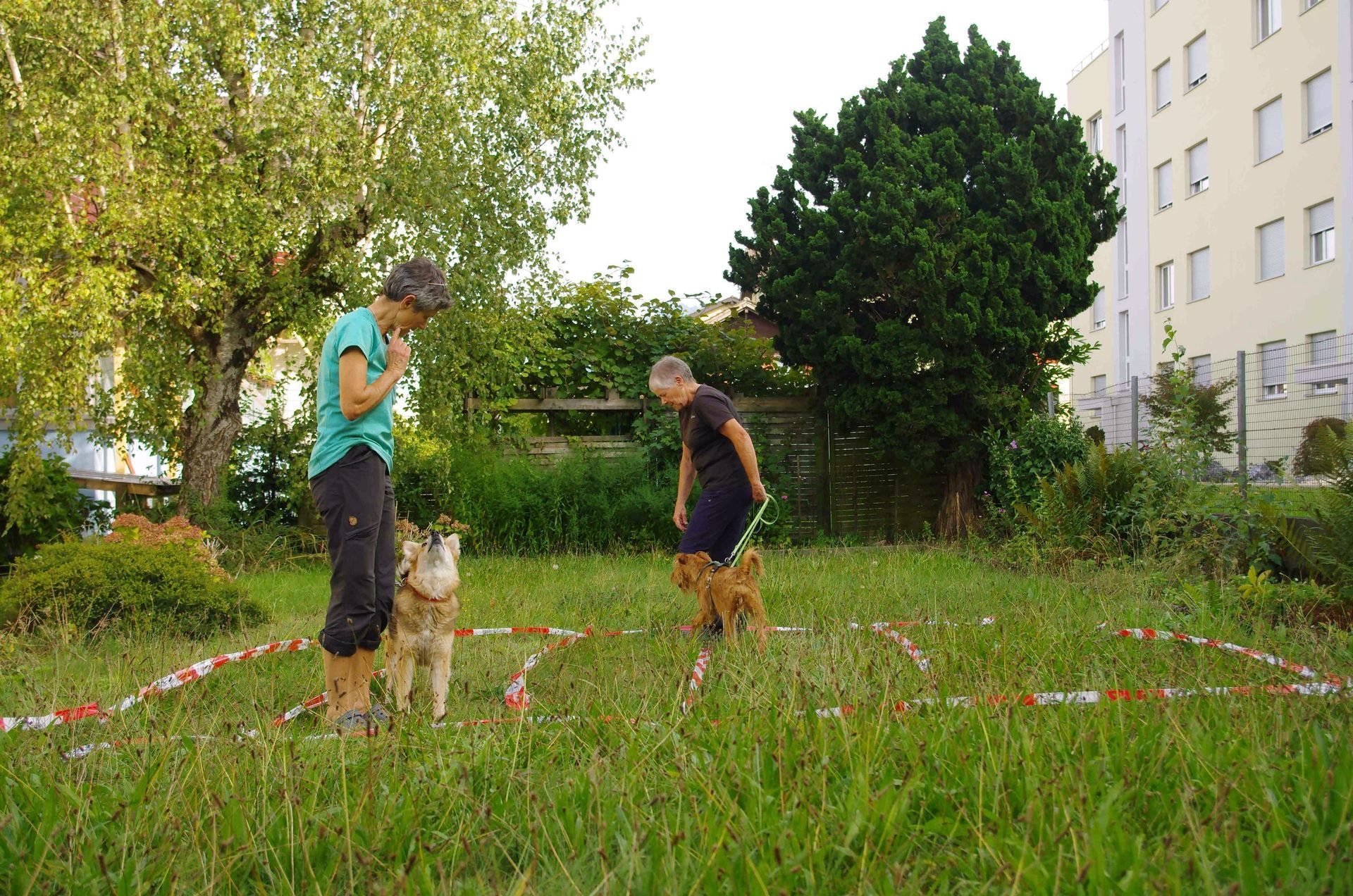 Parcour - Tierarztpraxis rundumXund