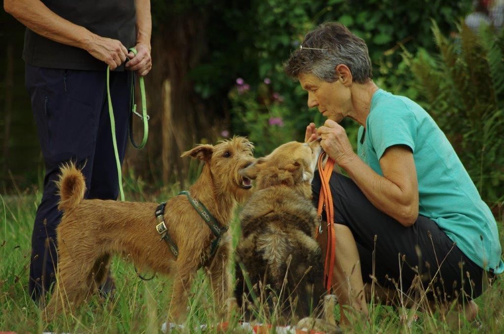 Parcour - Tierarztpraxis rundumXund