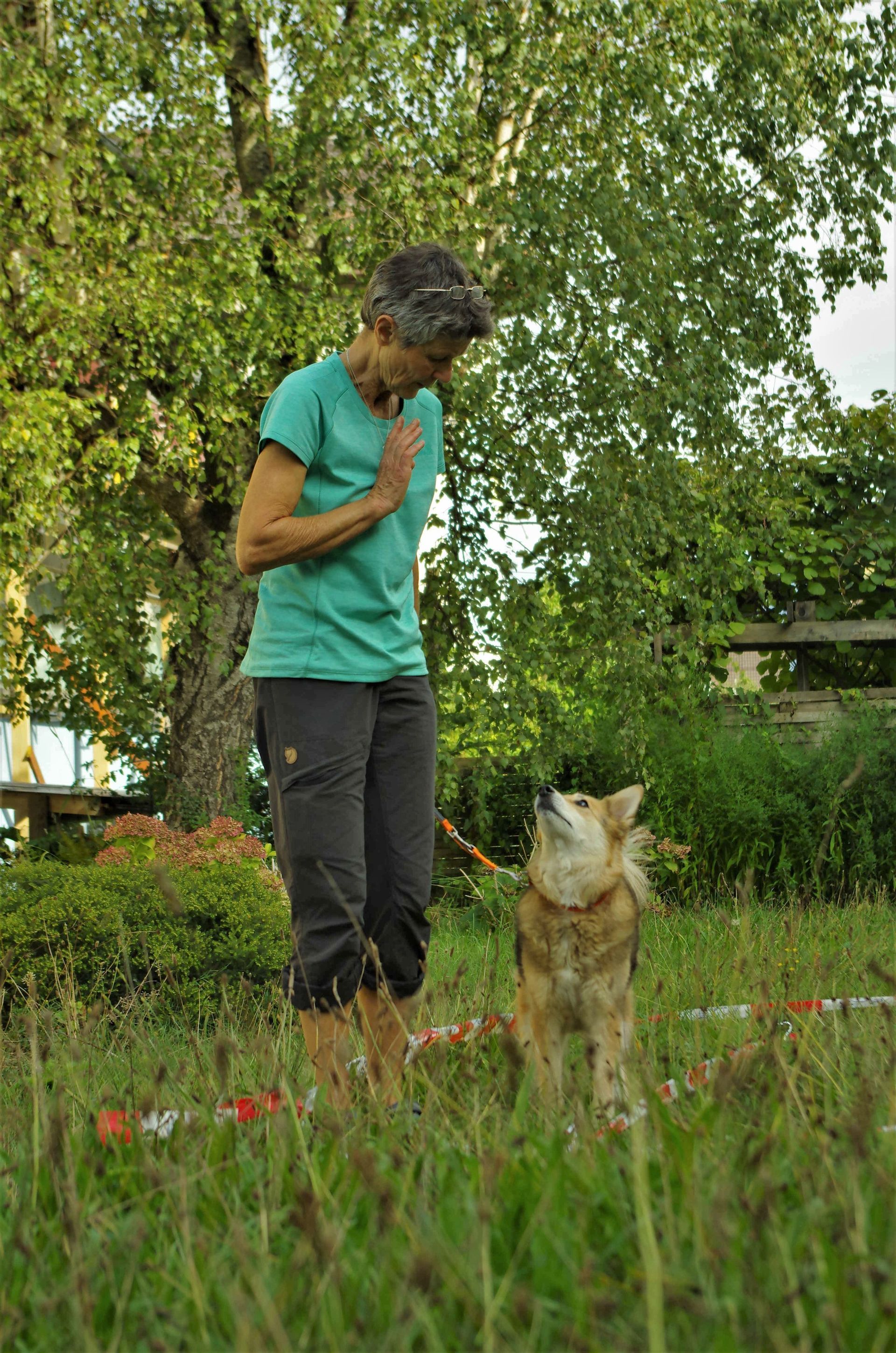 Parcour - Tierarztpraxis rundumXund