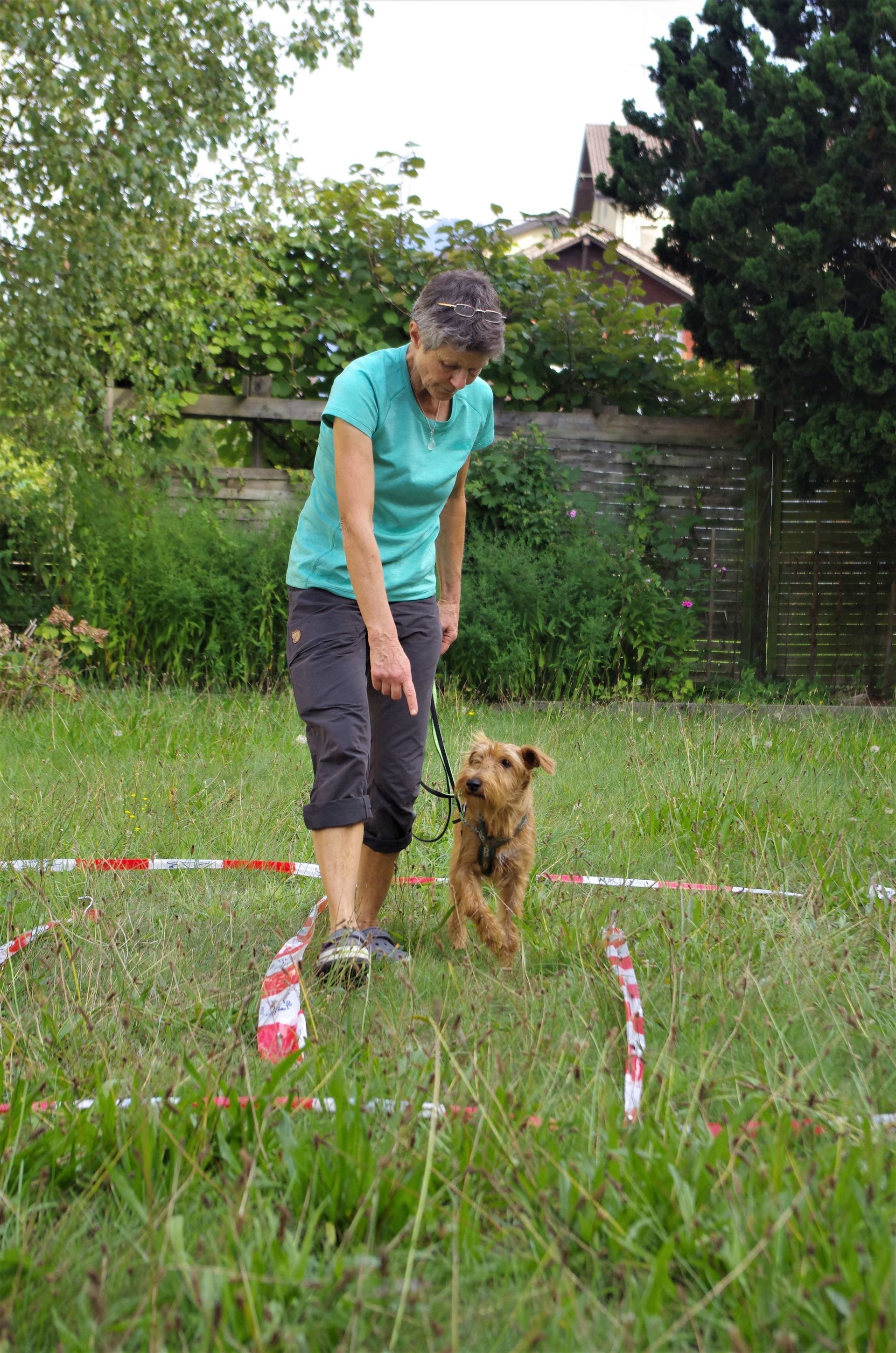 Parcour - Tierarztpraxis rundumXund