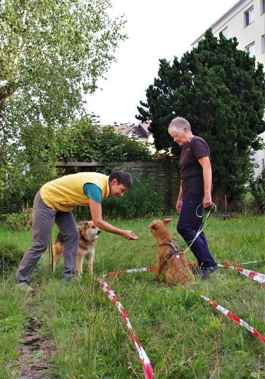 Tierarztpraxis rundumXund |Altendorf