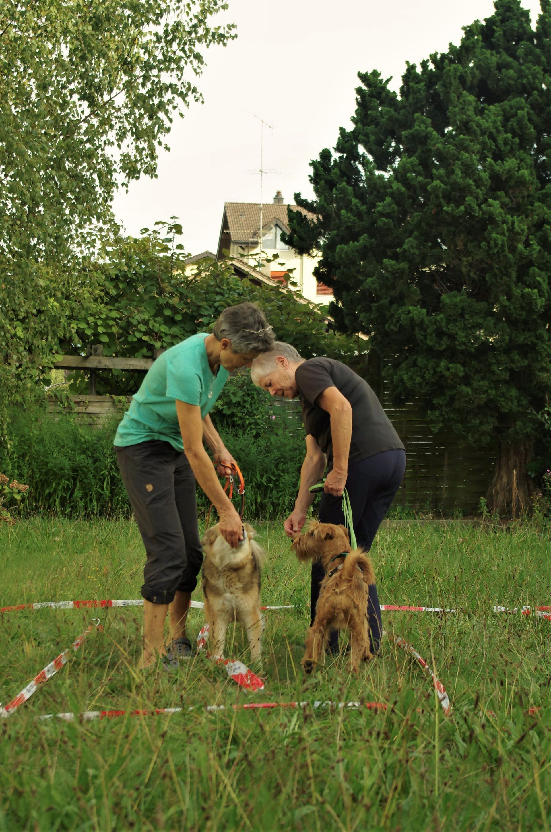 Parcour - Tierarztpraxis rundumXund