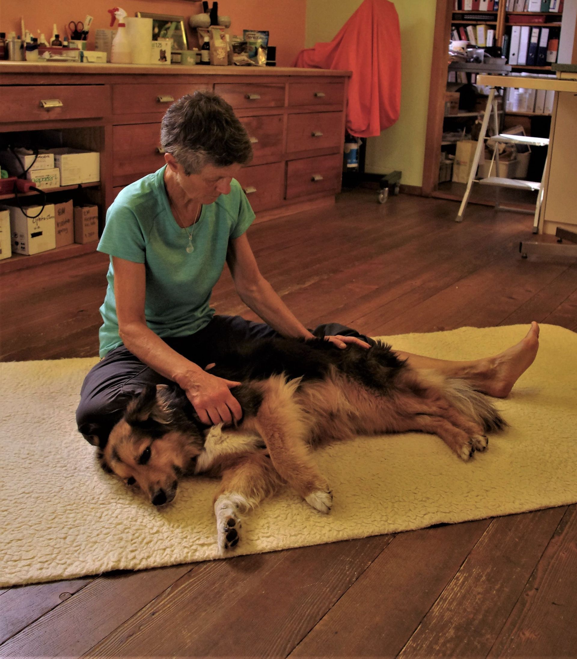 TTouch - Tierarztpraxis rundumXund