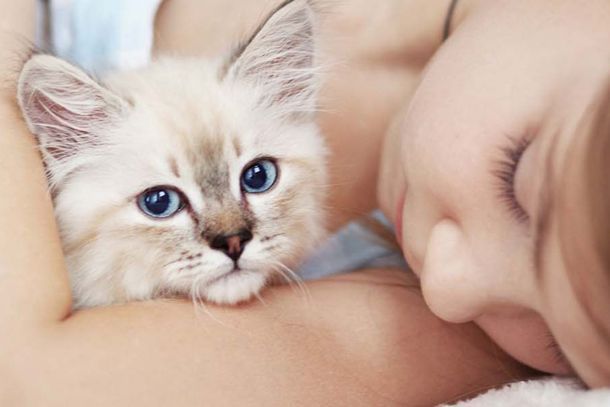 Ristiinan Porakaivo Oy