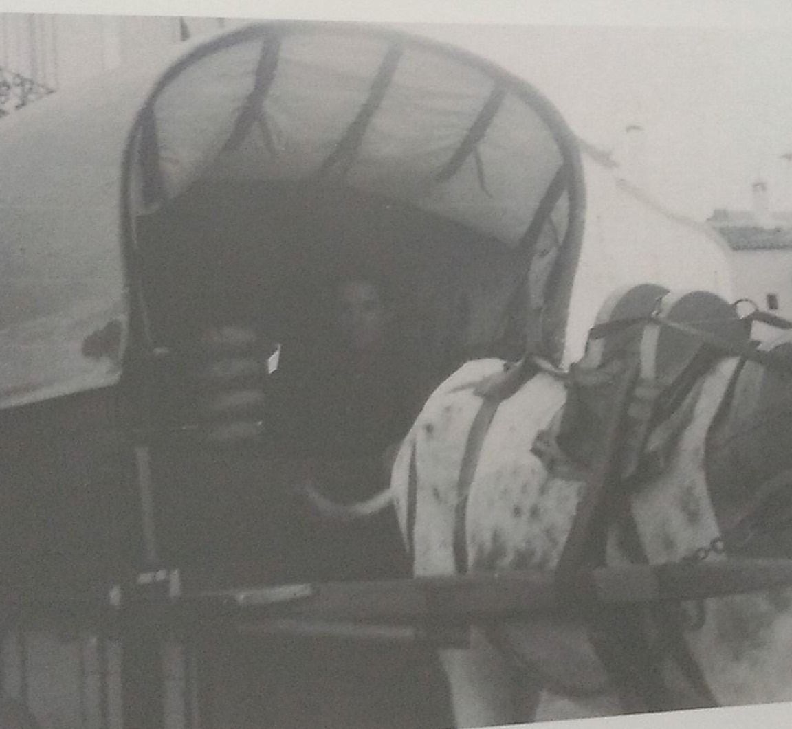 Fotografía en blanco y negro de una persona sentada dentro de una carreta cubierta tirada por bueyes moteados.