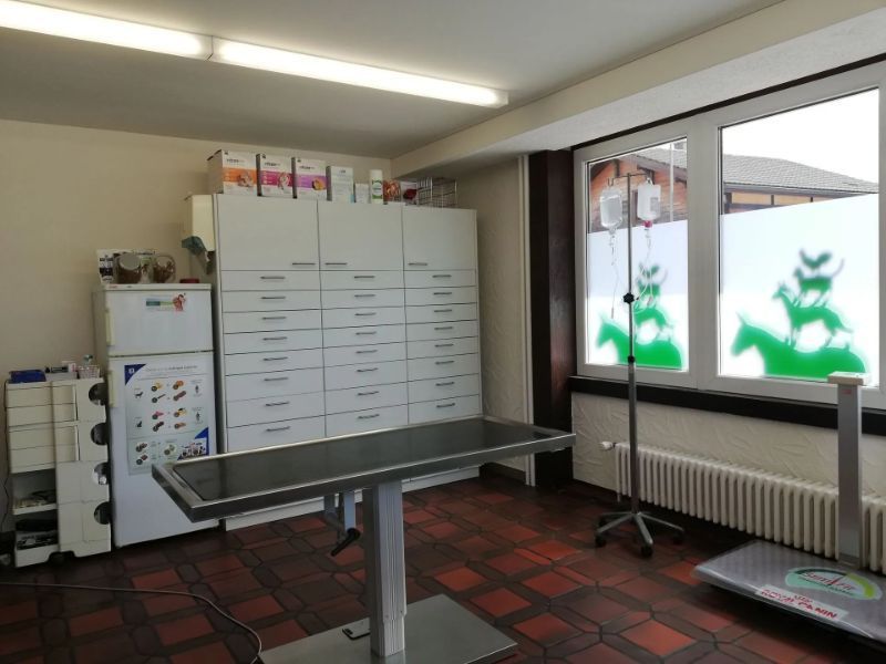 Sprechzimmer von der Kleintierpraxis / Klinik und Petshop Adlergarten Dr. med. vet. Flavio Regli