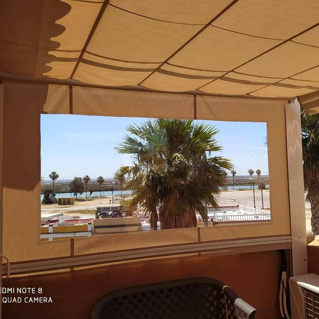 Se puede ver unas palmeras a través de una ventana.