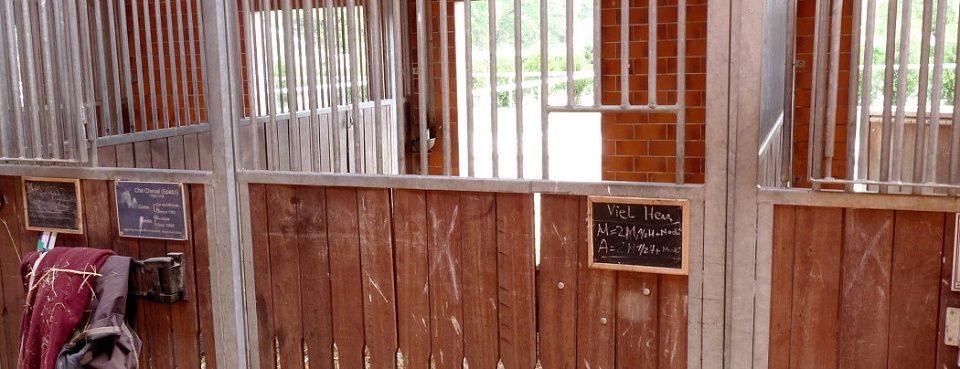 Pferdehof Schmiedeberg GbR
