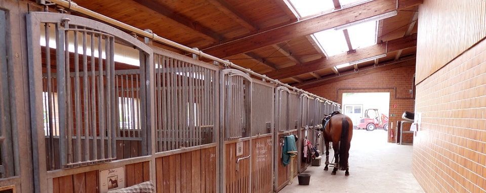 Pferdehof Schmiedeberg GbR
