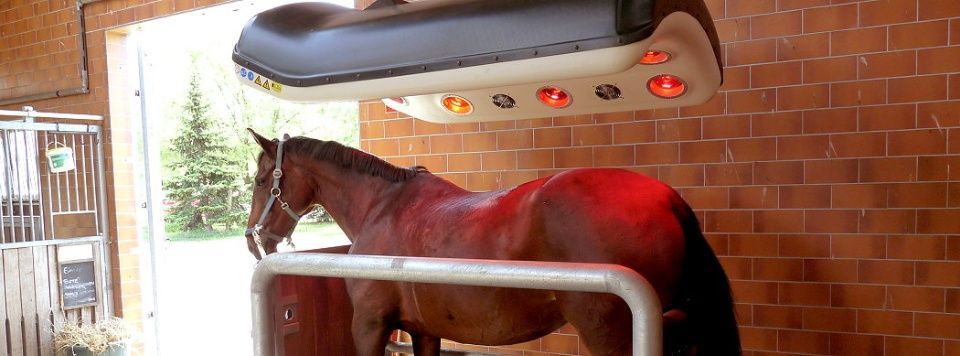 Pferdehof Schmiedeberg GbR
