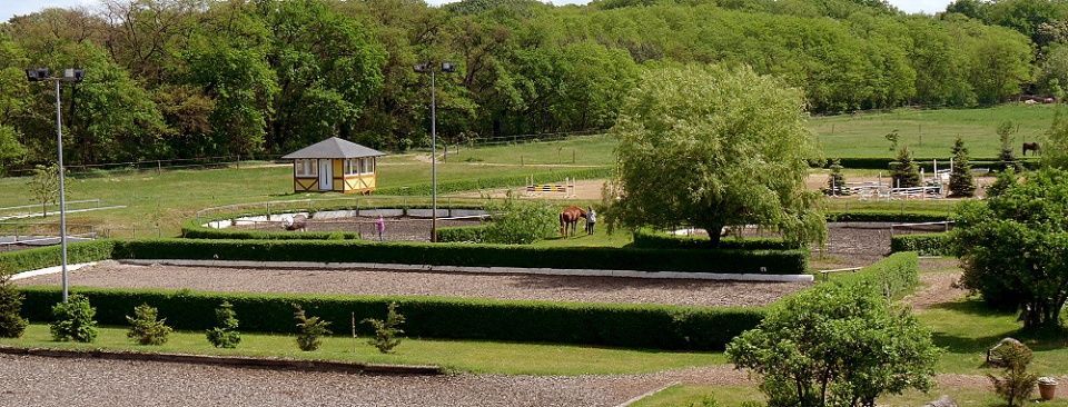 Pferdehof Schmiedeberg GbR
