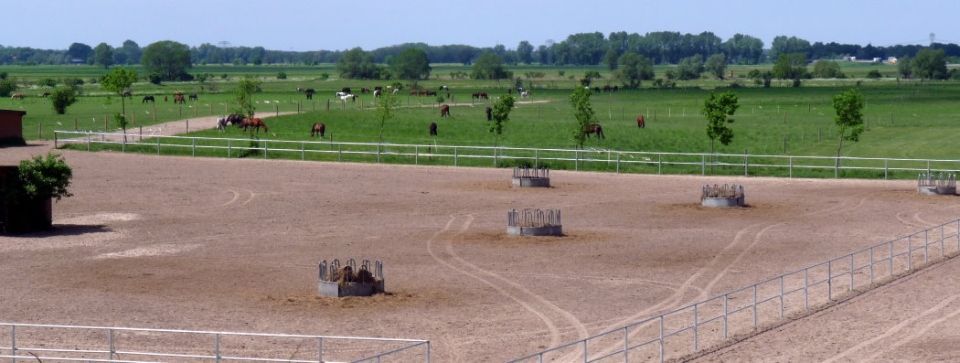 Pferdehof Schmiedeberg GbR
