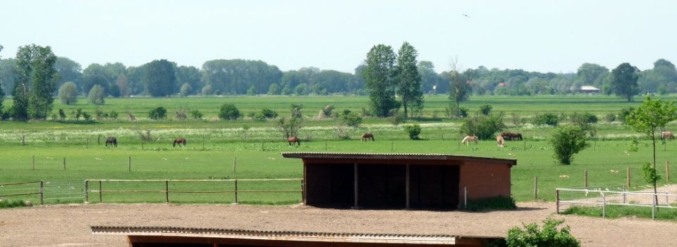 Pferdehof Schmiedeberg GbR
